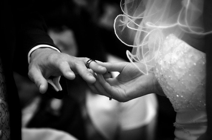  Profile Photos of Surrey Lane wedding photography Salisbury Road - Photo 48 of 62