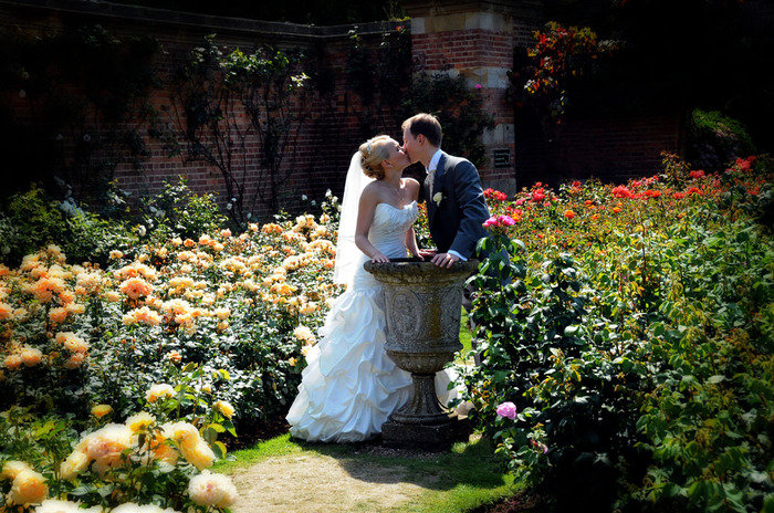  Profile Photos of Surrey Lane wedding photography Salisbury Road - Photo 41 of 62