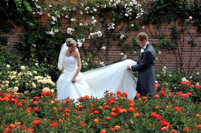  Profile Photos of Surrey Lane wedding photography Salisbury Road - Photo 4 of 62