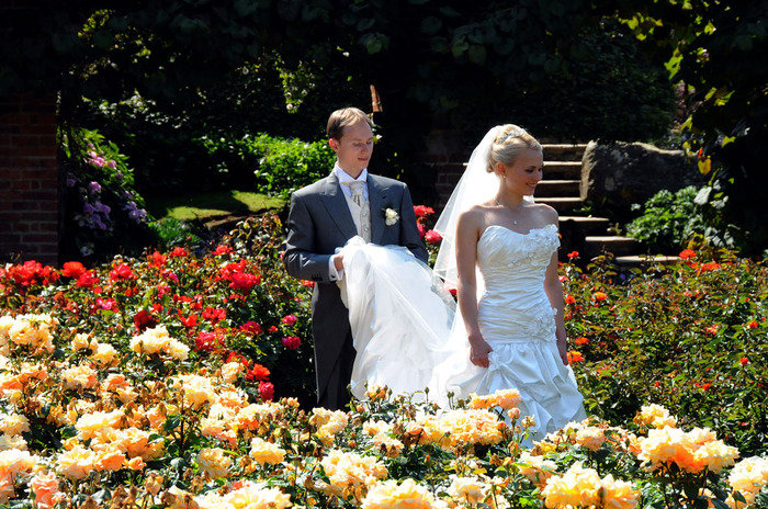  Profile Photos of Surrey Lane wedding photography Salisbury Road - Photo 25 of 62