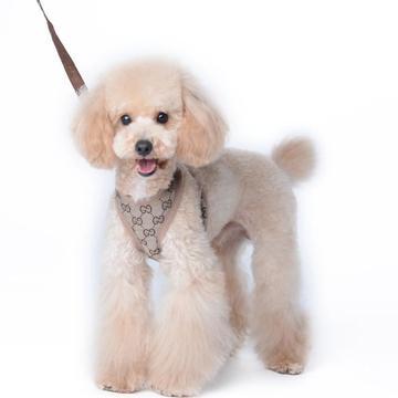  Profile Photos of Your Fluffy Friend 10 Victoria Cl, Kenton - Photo 1 of 1
