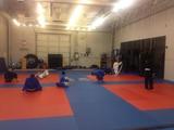 Tigers Lair MMA, Mesa