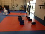 Tigers Lair MMA, Mesa