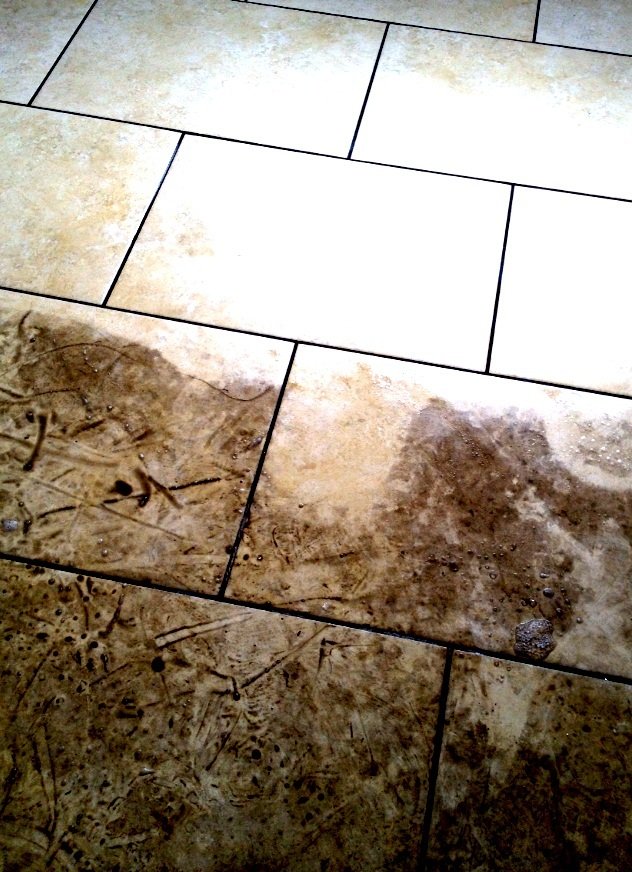 All Gleaming Clean Profile Photos of All Gleaming Clean 77 Kingsway, West Wickham - Photo 5 of 6