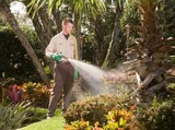 Drake Lawn & Pest Control, Winter Park