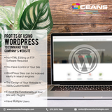 Wordpress Development, Oceans Technologies, ahmedabad