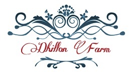  Profile Photos of Dhillon Farm Rampur Kalan - Photo 1 of 1