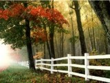 AAA-Fence-Master-Fence-White-Wood-Fence AAA Fence Master of League City 835 League City Pkwy 