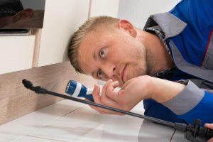  Profile Photos of Abell Pest Control Sunnyvale - Photo 1 of 1