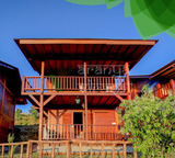  Hotel Aranya Virasat, Pangot, Nainital | Your Next Family Destination Pangot, Nainital, Uttarakhand, India, 263001 