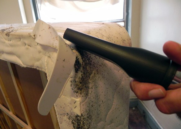  Profile Photos of Eco Bed Bug Exterminator Los Angeles 738 S New Hampshire Ave - Photo 1 of 5
