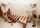 Eco Bed Bug Exterminator Los Angeles, Los Angeles