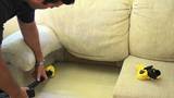 Eco Bed Bug Exterminator Los Angeles, Los Angeles