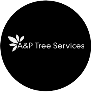  Profile Photos of A & P Tree Services PO Box 642 - Photo 1 of 1