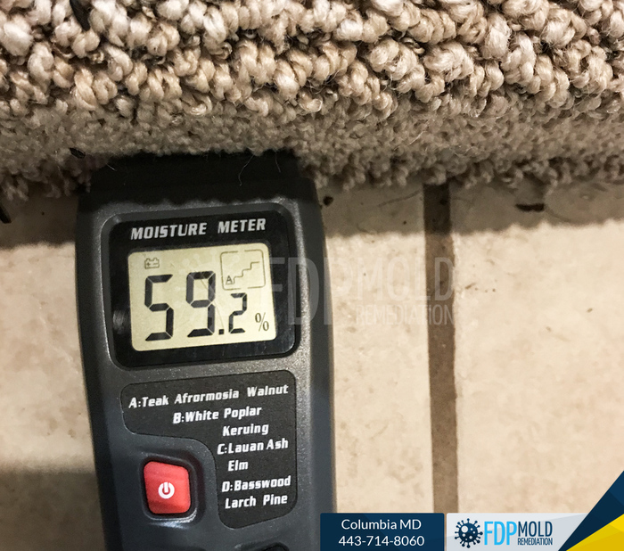 Personal Mold Remediation Water Damage Clean up and restoration service,  Friendly Customer Care100% Guaranteed Workmanship Licensed, Bonded, and Insured Profile Photos of FDP Mold Remediation 443-714-8060 - Photo 7 of 11