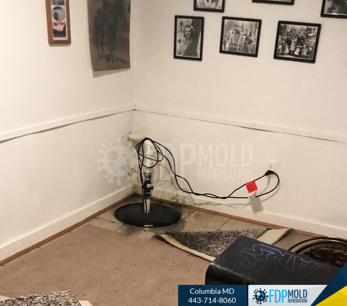 Personal Mold Remediation Water Damage Clean up and restoration service, Friendly Customer Care100% Guaranteed Workmanship Licensed, Bonded, and Insured Profile Photos of FDP Mold Remediation 443-714-8060 - Photo 8 of 11 Personal Mold Remediation Water Damage Clean up and restoration service, Friendly Customer Care100% Guaranteed Workmanship Licensed, Bonded, and Insured Profile Photos of FDP Mold Remediation 443-714-8060 - Photo 8 of 11