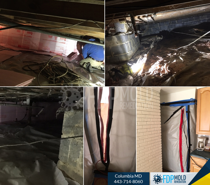 Personal Mold Remediation Water Damage Clean up and restoration service, Friendly Customer Care100% Guaranteed Workmanship Licensed, Bonded, and Insured Profile Photos of FDP Mold Remediation 443-714-8060 - Photo 10 of 11 Personal Mold Remediation Water Damage Clean up and restoration service, Friendly Customer Care100% Guaranteed Workmanship Licensed, Bonded, and Insured Profile Photos of FDP Mold Remediation 443-714-8060 - Photo 10 of 11