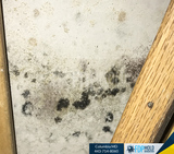 Personal Mold Remediation Water Damage Clean up and restoration service,  Friendly Customer Care100% Guaranteed Workmanship Licensed, Bonded, and Insured FDP Mold Remediation 443-714-8060 