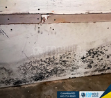 Personal Mold Remediation Water Damage Clean up and restoration service,  Friendly Customer Care100% Guaranteed Workmanship Licensed, Bonded, and Insured FDP Mold Remediation 443-714-8060 