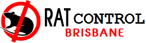  Profile Photos of Rat Control Brisbane 1806/108 Margaret St , Brisbane 4000 - Photo 1 of 1