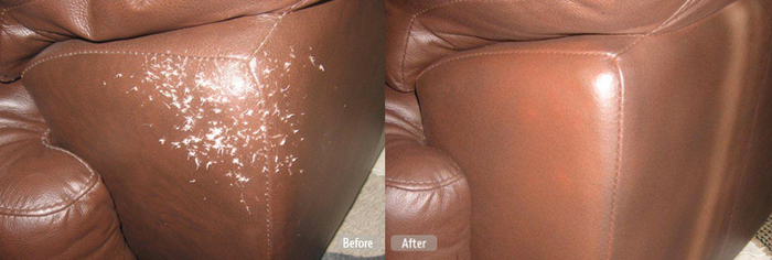  Leather Repair Services in Peterborough, ON of Fibrenew Ajax Pickering Peterborough 1 Mobile Service - Photo 18 of 20