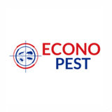 Econo Pest, Hamilton