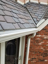 Pro Standard Guttering Inc, Perkins