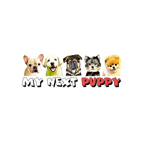  Profile Photos of My Next Puppy 13991 Metrotech Dr - Photo 1 of 1