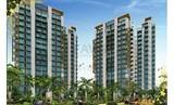 Sikka Kaamna Greens, Noida