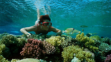 Ocean Tours Oman, Muscat