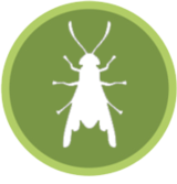 Bug Stoppers LLC, Wichita