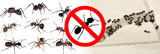 My Home Pest Control Melbourne, Melbourne