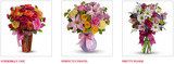  Sending Flowers Fast 687 West Mackinac Dr. Apt B1 