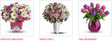  Sending Flowers Fast 687 West Mackinac Dr. Apt B1 