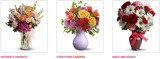  Sending Flowers Fast 687 West Mackinac Dr. Apt B1 
