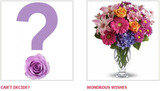  Sending Flowers Fast 687 West Mackinac Dr. Apt B1 