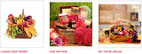  Sending Flowers Fast 687 West Mackinac Dr. Apt B1 