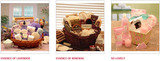  Sending Flowers Fast 687 West Mackinac Dr. Apt B1 