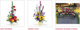 Sending Flowers Fast, Taylorsville