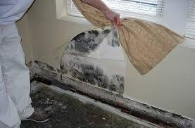  Profile Photos of Mold Inspection & Testing Albuquerque NM 5817 Broken Arrow Lane NW - Photo 2 of 5