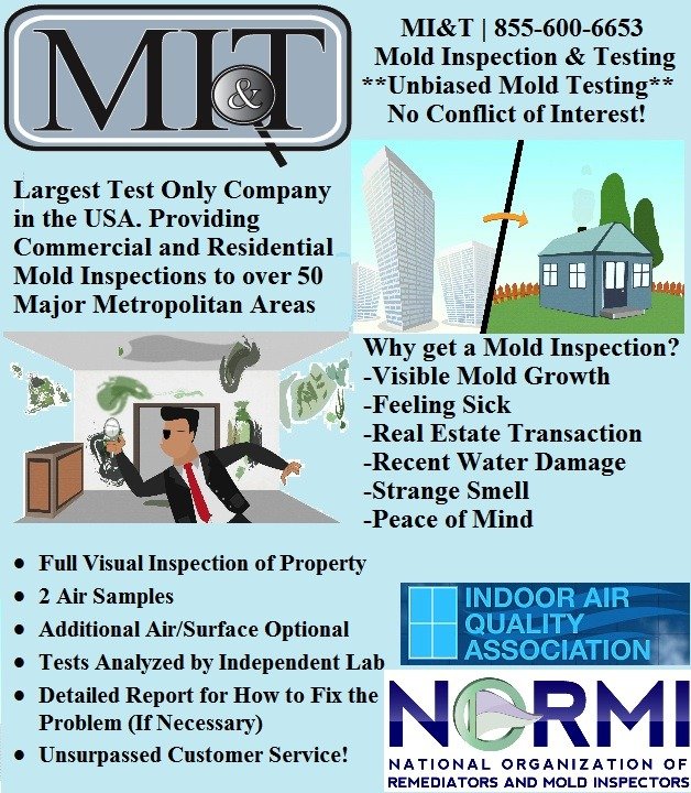  Profile Photos of Mold Inspection & Testing Albuquerque NM 5817 Broken Arrow Lane NW - Photo 3 of 5
