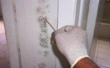 Mold Inspection & Testing Albuquerque NM, Albuquerque