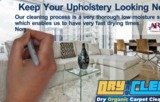promo videos, Blue Penguin Media - Affordable website design, Braintree