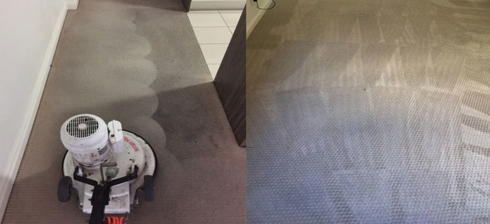 New Album of Carpet Cleaning Brisbane Queen St - Photo 2 of 7