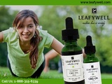 natural cbd in miami LeafyWell 2645 Executive Park 