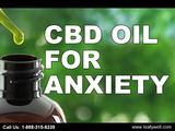 cbd extract in miami LeafyWell 2645 Executive Park 