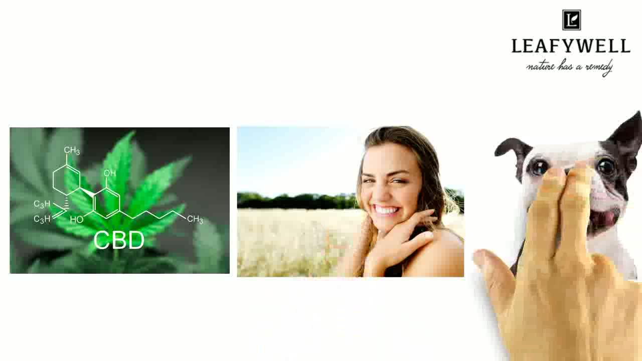Leafywell-.CBD For Pets - Benefits of CBD for Pets.mp4
