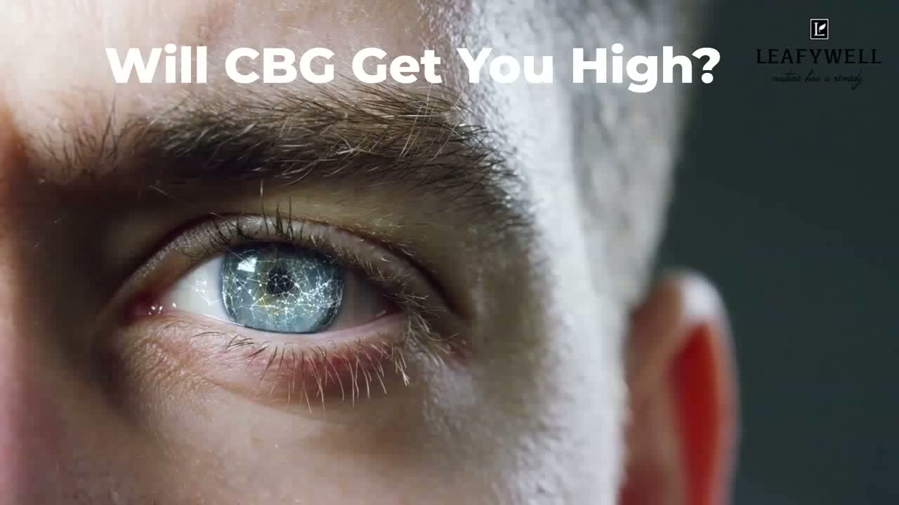 Does CBG get you High.mp4