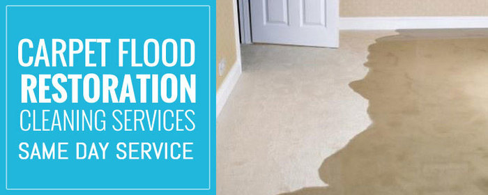  New Album of Carpet Flood Water Damage Restoration Melbourne Australia - Photo 1 of 4
