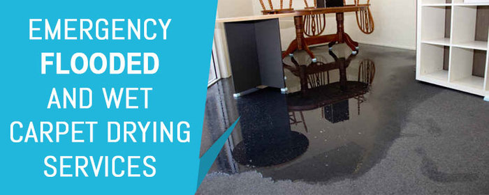  New Album of Carpet Flood Water Damage Restoration Melbourne Australia - Photo 4 of 4